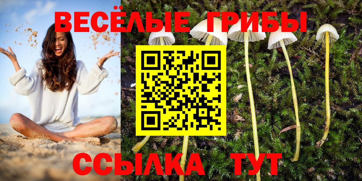 Галлюциногенные грибы Magic Shrooms  даркнет сайт  Вход с VPN  Новотроицк  Галлюциногенные грибы Cubensis 