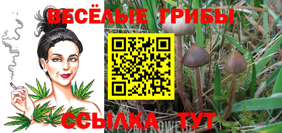 Галлюциногенные грибы Magic Shrooms Новотроицк